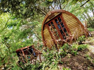 Wollemia at The Greenhouse Spa Retreat in Saltash