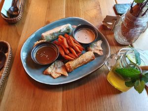 Gemischte Vorspeisenplatte (Sommerrollen, Frühlingsrollen, Wan-Tans, Gyozas und Süßkartoffelpommes) at Com Chay in Mannheim