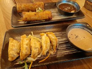 Spring rolls and gyozas as a starter at Com Chay in Mannheim