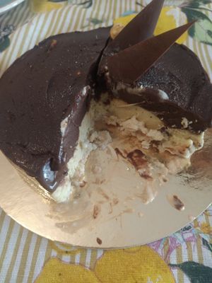  at Gelateria Stefino in Bologna