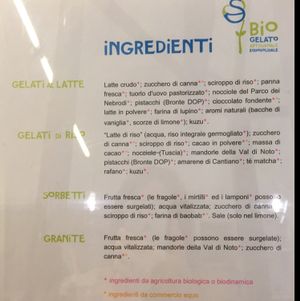 Vegan gelato made with rice milk at Gelateria Stefino in Bologna