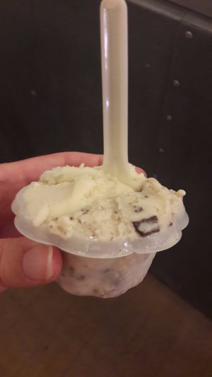 Coconut and mint choc chip vegan gelato at Gelateria Stefino in Bologna