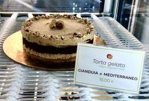 Ice cream cake  at Gelateria Stefino in Bologna