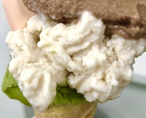 Almond   at Gelateria Stefino in Bologna