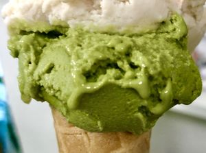 Matcha   at Gelateria Stefino in Bologna