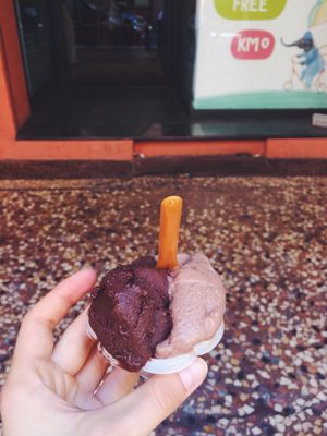 nougat and dark chocolate with black pepper at Gelateria Stefino in Bologna