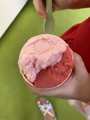 Copetta piccola with lemon-basil and strawberry    at Gelateria Stefino in Bologna