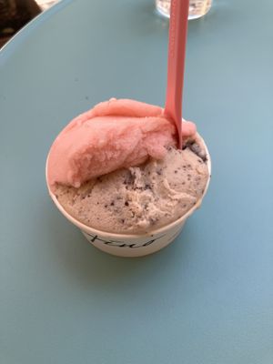 Coppetta media with lemon-basil and mint-chocolate    at Gelateria Stefino in Bologna