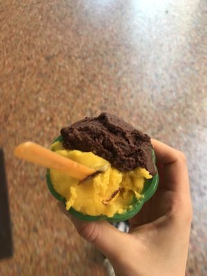 Mandarin and Hippy Chocolate (chocolate + curry and ginger) at Gelateria Stefino in Bologna
