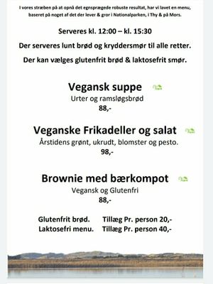 Menu at Stenbjerg Kro & Badehotel in Snedsted