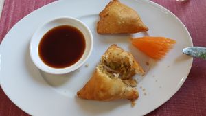 Vegan samosa at Indian Palace in Goeppingen