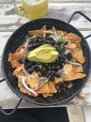 Mushroom carnita (breakfast) at Lido Beach Club  in Playa Del Carmen