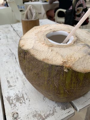 Another coconut  #Veganuary at Lido Beach Club  in Playa Del Carmen