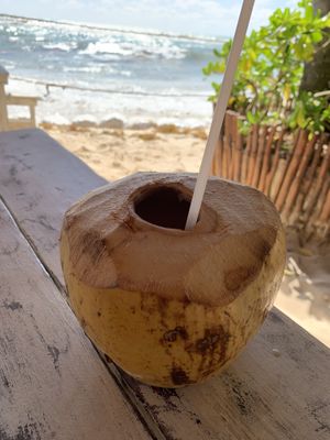 Coco #Veganuary at Lido Beach Club  in Playa Del Carmen