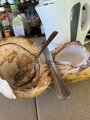 They can also open your coconut so you could eat the insides!  #Veganuary at Lido Beach Club  in Playa Del Carmen