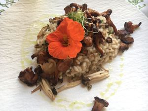 Risotto vegan at Gasthof Post in Hellmonsoedt