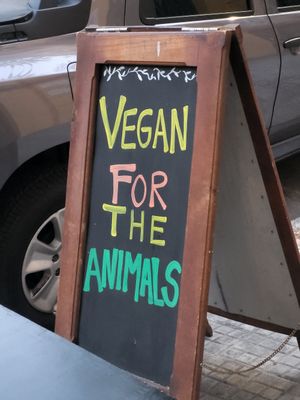  at Casa Bruja in Montevideo