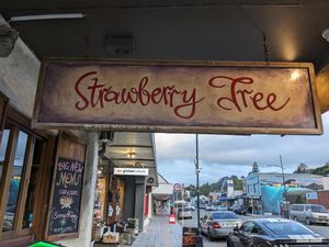  at Strawberry Tree in Kaikoura