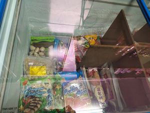 Variety of frozen items at Teng Yang Vegetarian and Organic Products in Central Singapore