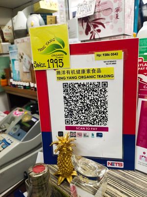 Established since 1995 at Teng Yang Vegetarian and Organic Products in Central Singapore