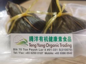 Healthy home made vegetarian dumplings at Teng Yang Vegetarian and Organic Products in Central Singapore