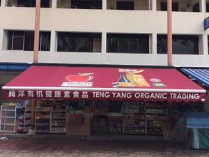 Store Front at Teng Yang Vegetarian and Organic Products in Central Singapore