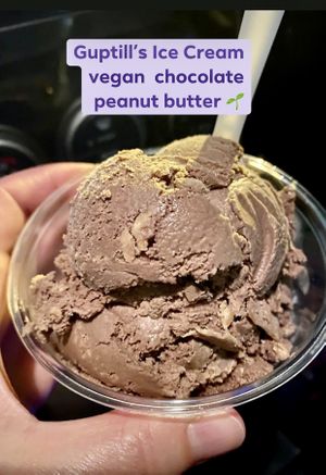 Vegan Chocolate Peanut Butter Ice Cream  at Guptill's Ice Cream in Cohoes