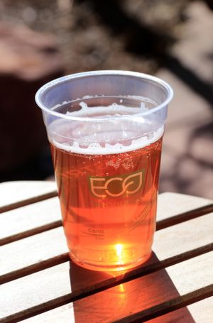 wild tonic kombucha at Sedona Wellness Cafe in Sedona