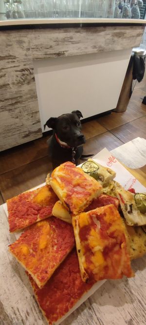  at Aldo's Bakery in Turin