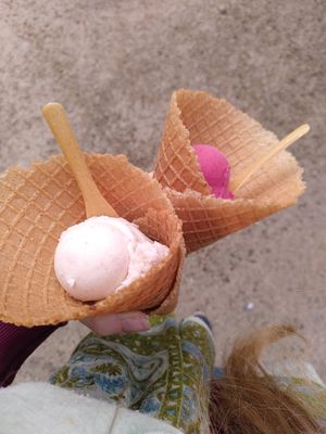 Amazing cone with appel-cinnamon ice and cassis at Kolibri in Bregenz