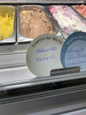   at Kolibri in Bregenz