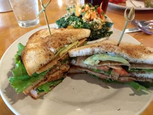 Seva club (vegan) at Seva - Ann Arbor in Ann Arbor