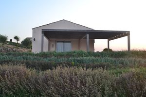 Walls of sage, rosemary and other herbs at the doorstep of Casa Aromi at Kapuhala Sicily in Noto