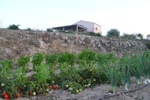 Fresh vegetables for guests' consumption in the comfort of their villas at Kapuhala Sicily in Noto