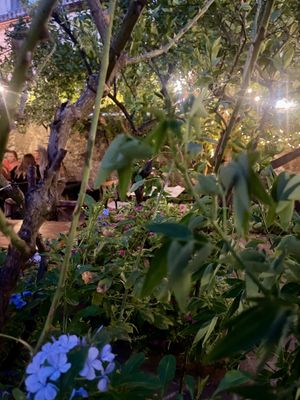   at Nook in Stari Grad