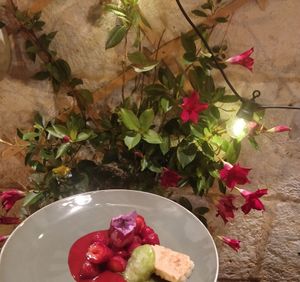 Strawberries and Nook basil sorbet at Nook in Stari Grad