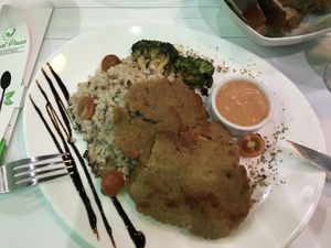   at Plant Power in Novi Sad