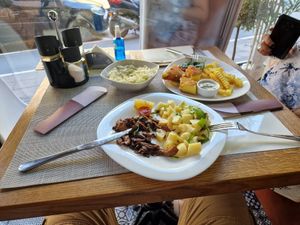  at Plant Power in Novi Sad