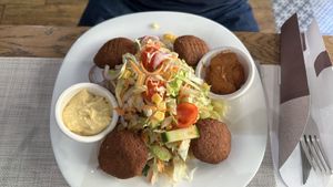   at Plant Power in Novi Sad