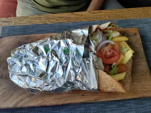 Gyros at Plant Power in Novi Sad