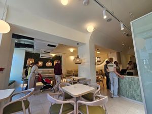  at Plant Power in Novi Sad