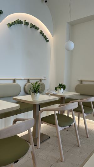   at Plant Power in Novi Sad