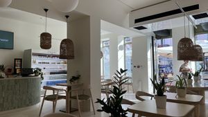   at Plant Power in Novi Sad