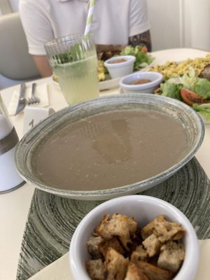   at Plant Power in Novi Sad