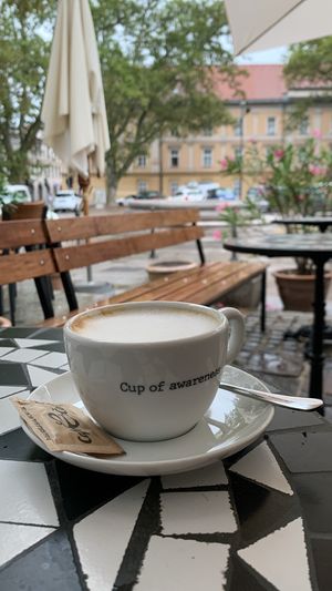   at Cafe Cokl in Ljubljana