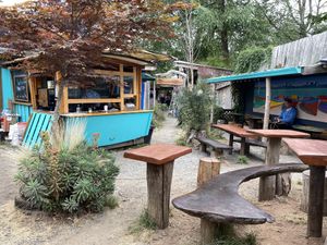 Cafe and seating area  at Vorizo Cafe in Hornby Island