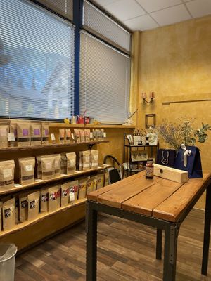   at Chocolate House in Ljubljana