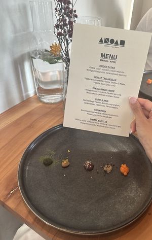 Menu + Lick Plate at ANOAH in Zurich