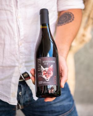 We serve vegan wine! at ANOAH in Zurich