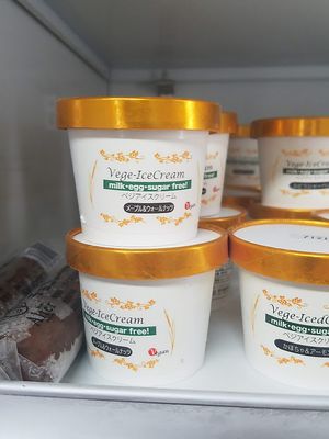 non-dairy ice cream (various flavors) at Pupu Kitchen and Health Food Shop in Nagoya